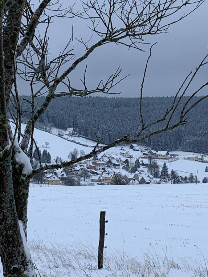 Berghaus Carlsfeld Villa Eibenstock Luaran gambar